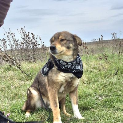 Max